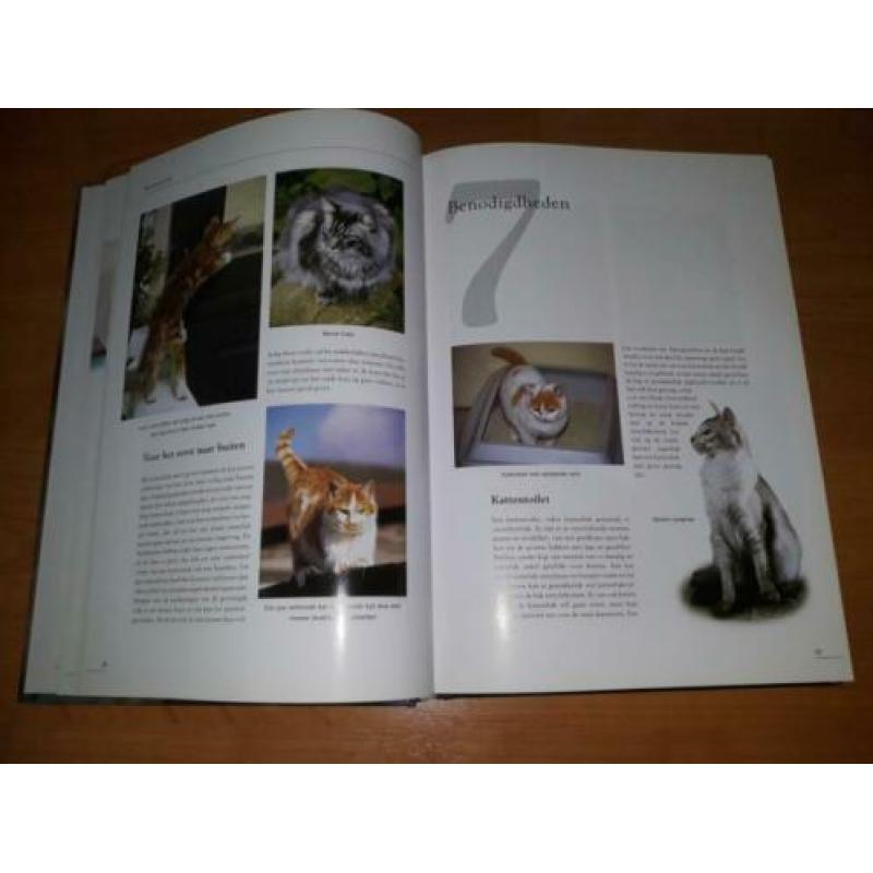 de grote katten encyclopedie - Esther Verhoef