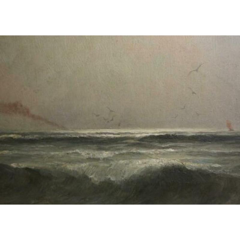 Romain Steppe, woelige zee
