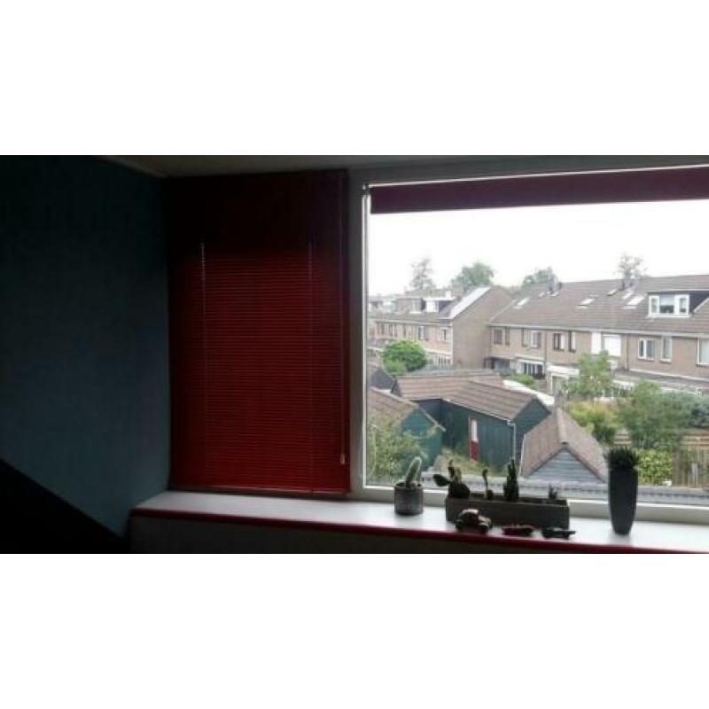 Jaloezieën rood 2 stuks