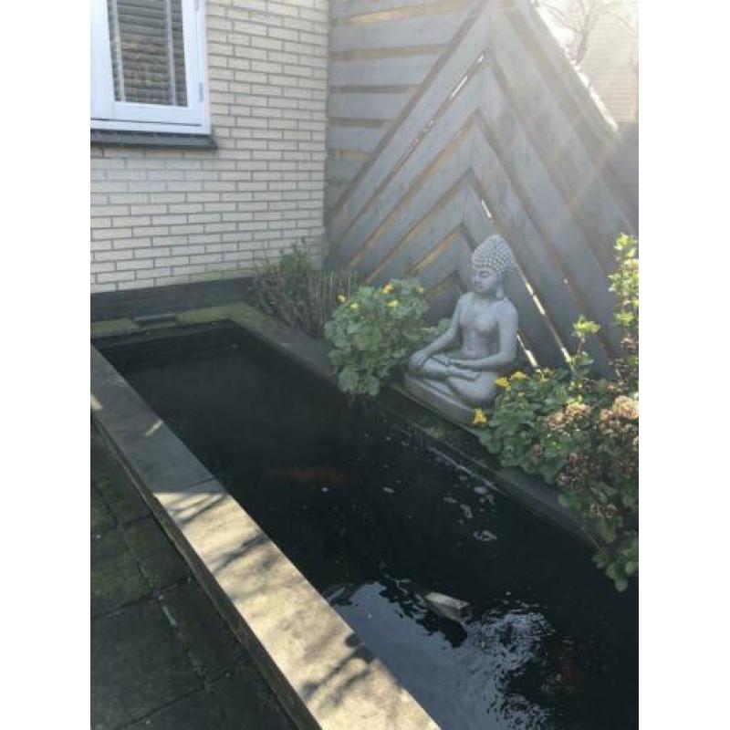 Mooie complete vijver