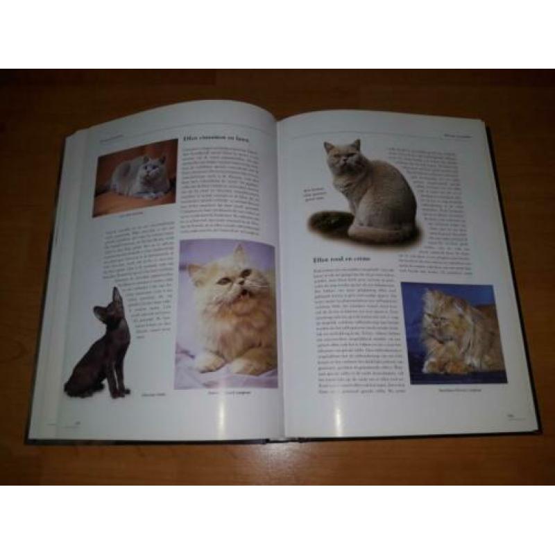 de grote katten encyclopedie - Esther Verhoef