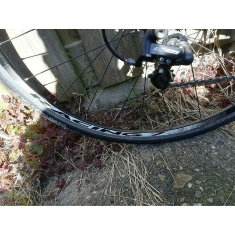 Ridley Triton 54 cm campagnolo