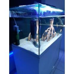 Prachtig groot aquarium 110× 60×60
