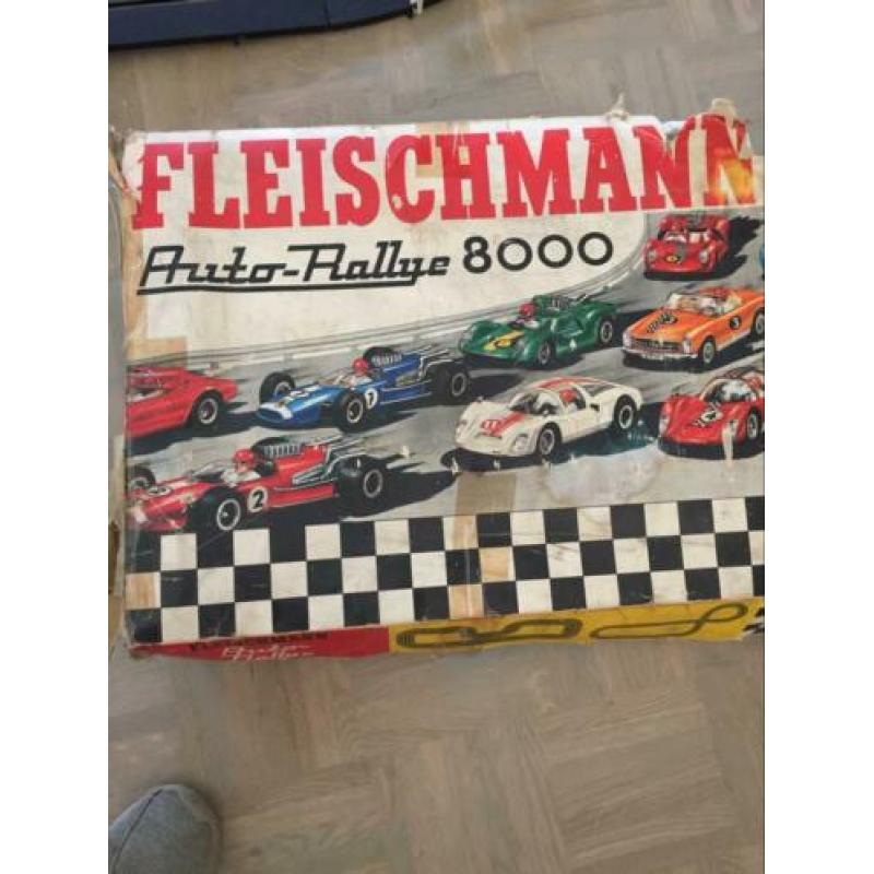 Racebaan Fleischman