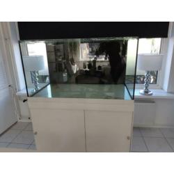 Prachtig groot aquarium 110× 60×60