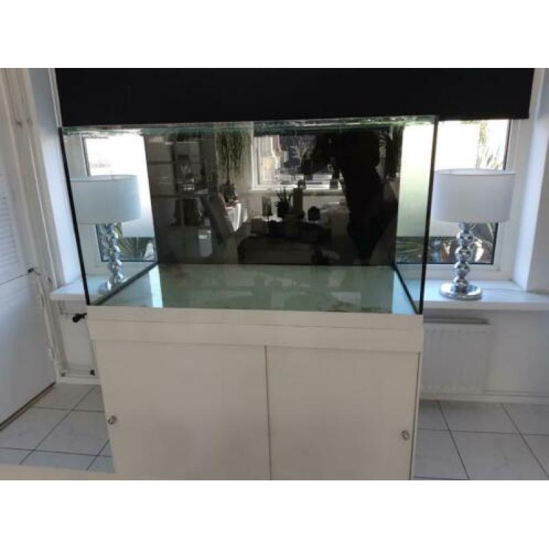 Prachtig groot aquarium 110× 60×60