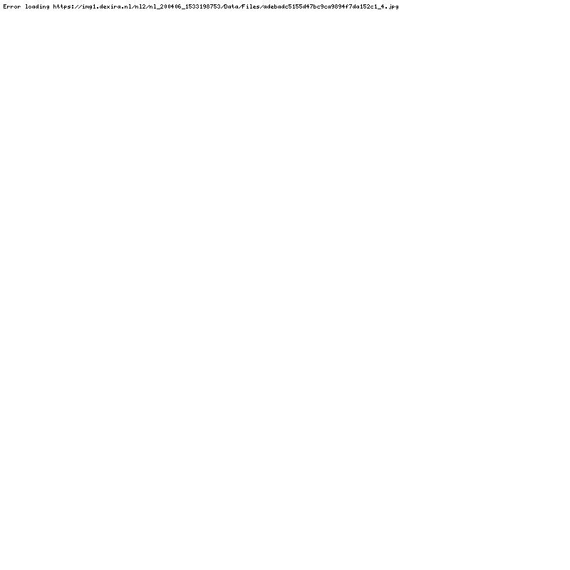 Renault Megane Scenic 1.4 TCE 96KW 2013 Rood