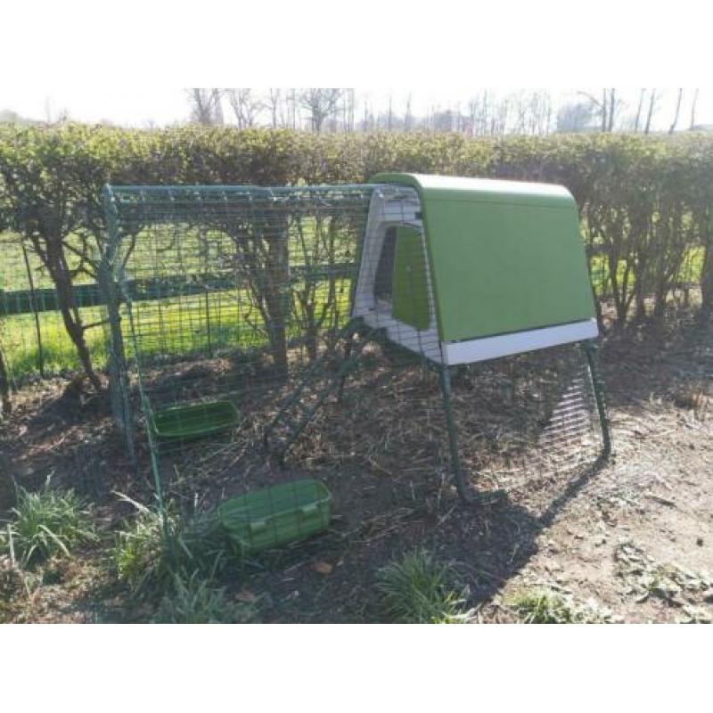 Omlet Eglu Go UP kippenhok + 2 kippen + ren