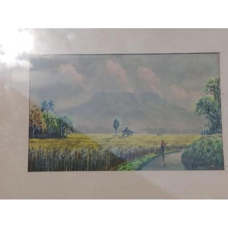 Oude aquarel rijstveld Indonesië gesigneerd