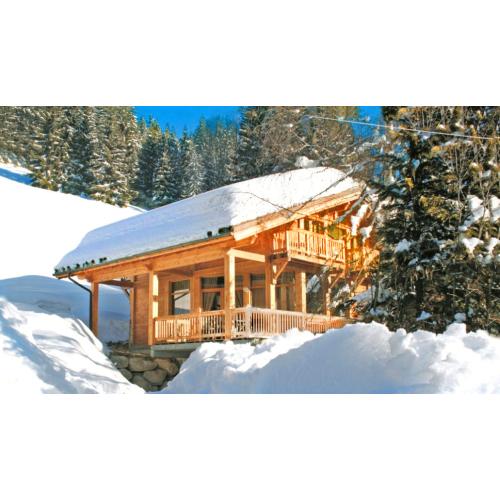 Aigle des Neiges